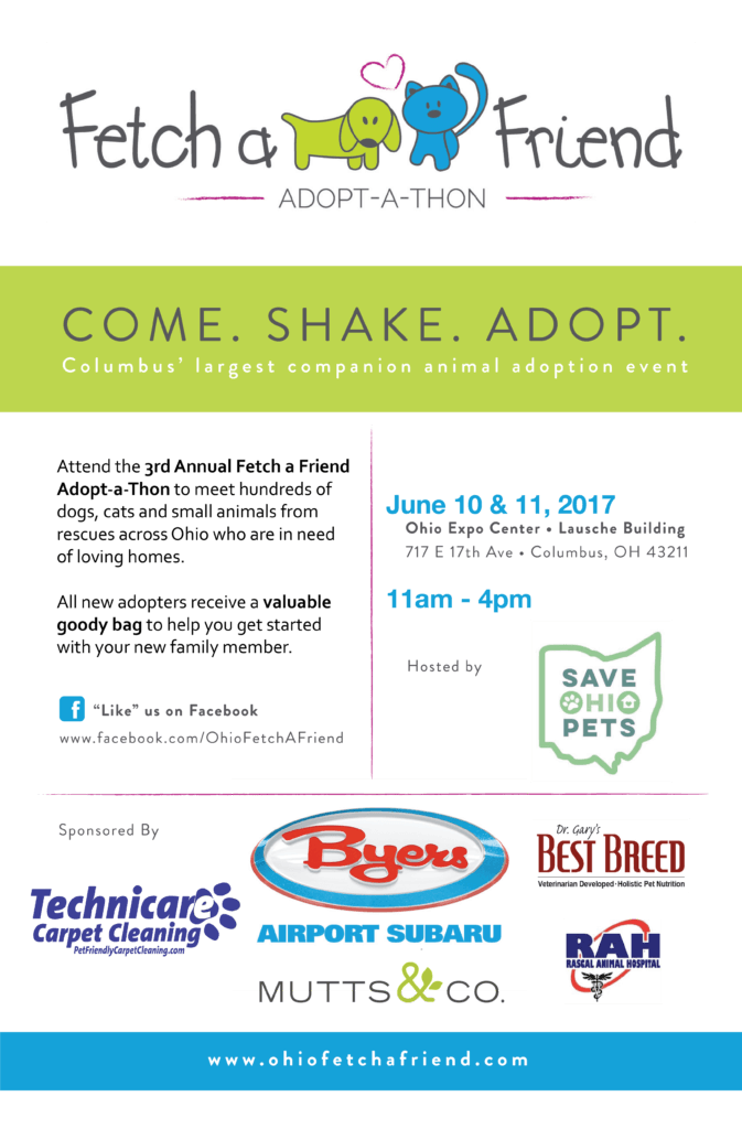 tech ease at fetch a friend adopt event 2017